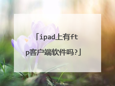 ipad上有ftp客户端软件吗?