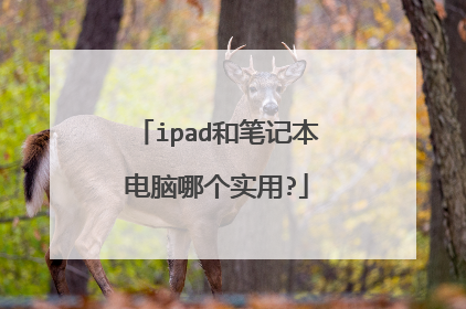 ipad和笔记本电脑哪个实用?