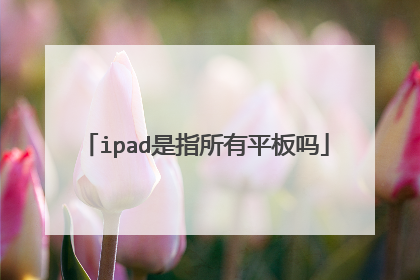 ipad是指所有平板吗