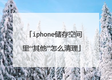 iphone储存空间里“其他”怎么清理