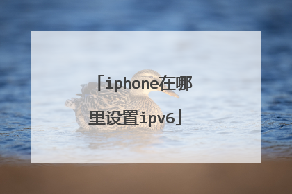 iphone在哪里设置ipv6