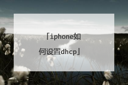 iphone如何设置dhcp