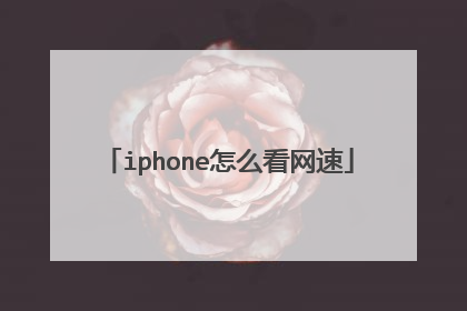 iphone怎么看网速