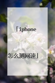 iphone怎么测网速