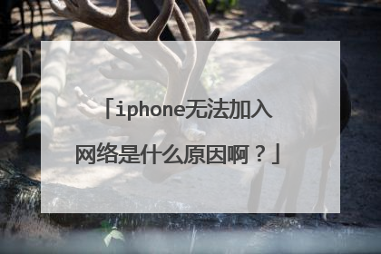 iphone无法加入网络是什么原因啊?