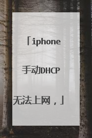 iphone 手动DHCP无法上网，