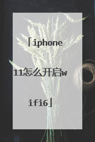 iphone11怎么开启wifi6