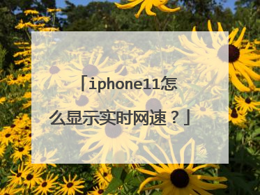 iphone11怎么显示实时网速？