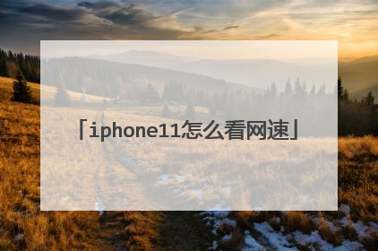 iphone11怎么看网速