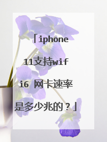 iphone11支持wifi6 网卡速率是多少兆的?