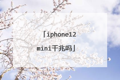 iphone12mini千兆吗