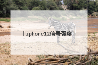 iphone12信号强度