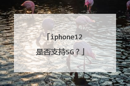 iphone12是否支持5G?