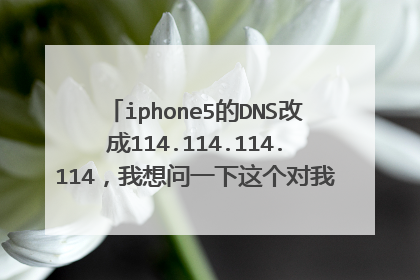 iphone5的DNS改成114.114.114.114，我想问一下这个对我手机有什么影响吗，对蜂窝有没有影响，什么原理