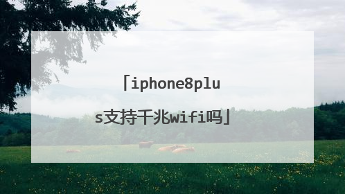 iphone8plus支持千兆wifi吗