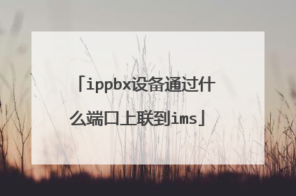ippbx设备通过什么端口上联到ims
