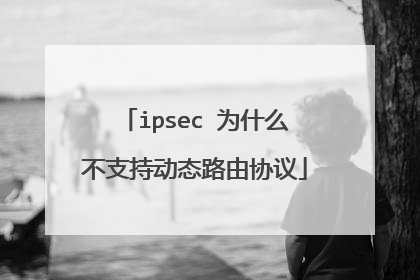 ipsec 为什么不支持动态路由协议