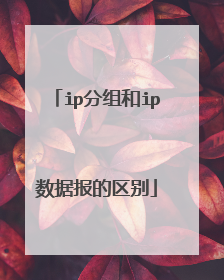 ip分组和ip数据报的区别