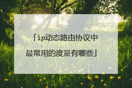 ip动态路由协议中最常用的度量有哪些