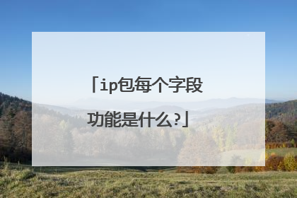 ip包每个字段功能是什么?