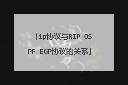 ip协议与RIP OSPF EGP协议的关系