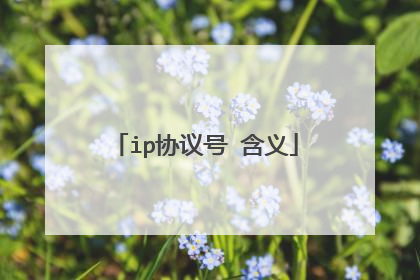 ip协议号 含义