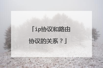 ip协议和路由协议的关系?