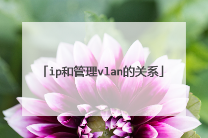 ip和管理vlan的关系