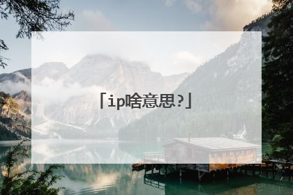 ip啥意思?