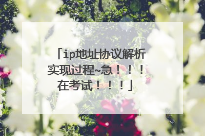 ip地址协议解析实现过程~急!!!在考试!!!