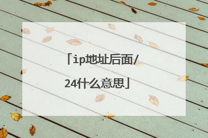 ip地址后面/24什么意思