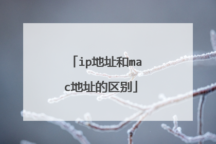 ip地址和mac地址的区别