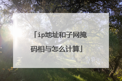 ip地址和子网掩码相与怎么计算