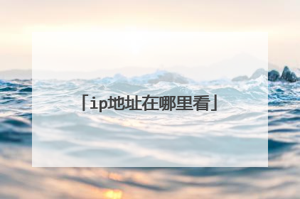ip地址在哪里看