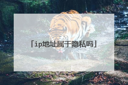 ip地址属于隐私吗