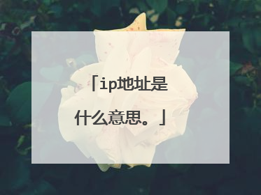 ip地址是什么意思。