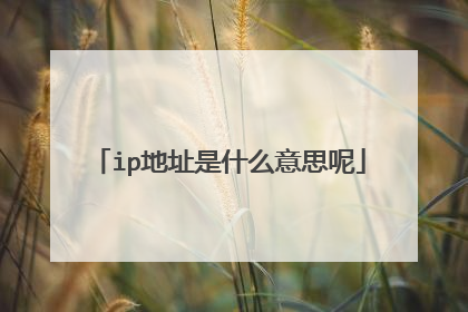 ip地址是什么意思呢