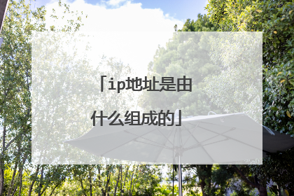 ip地址是由什么组成的