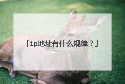 ip地址有什么规律?