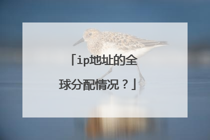 ip地址的全球分配情况？