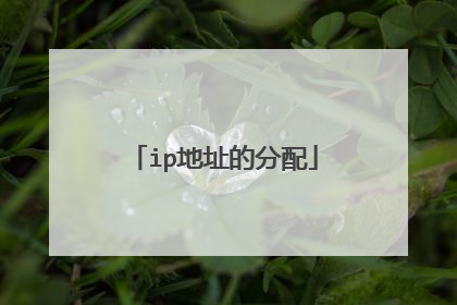 ip地址的分配