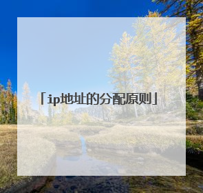 ip地址的分配原则