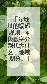ip地址的编码规则,4段数字分别代表什么,地域划分。