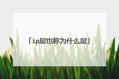 ip层也称为什么层