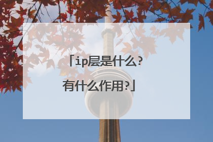 ip层是什么?有什么作用?