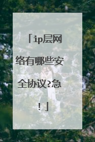 ip层网络有哪些安全协议?急！