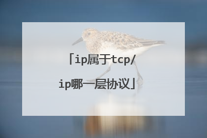 ip属于tcp/ip哪一层协议