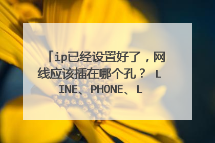 ip已经设置好了,网线应该插在哪个孔? LINE、PHONE、LINK/ACT