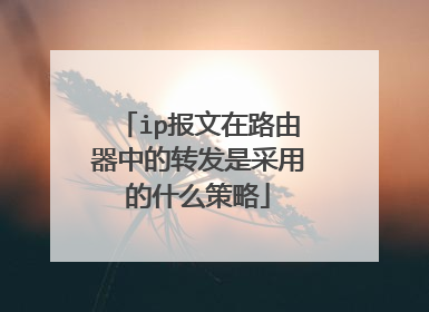 ip报文在路由器中的转发是采用的什么策略