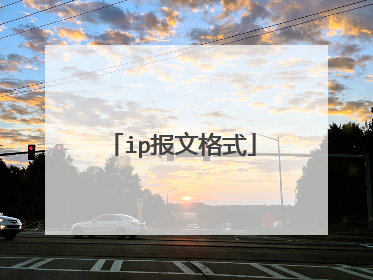 ip报文格式